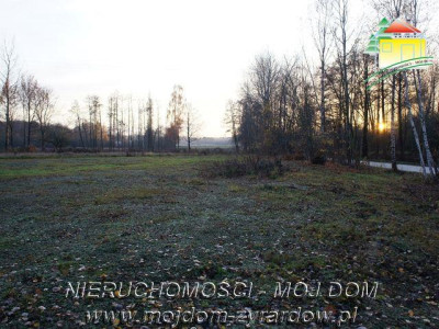 Działka budowlana - Zazdrość   -
Mazowieckie Zdjęcie nr 4