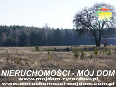 Działka budowlana - Krzyżówka   -
Mazowieckie Zdjęcie nr 2
