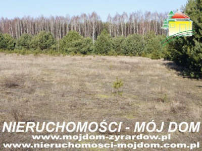 Działka budowlana - Krzyżówka   -
Mazowieckie Zdjęcie nr 4