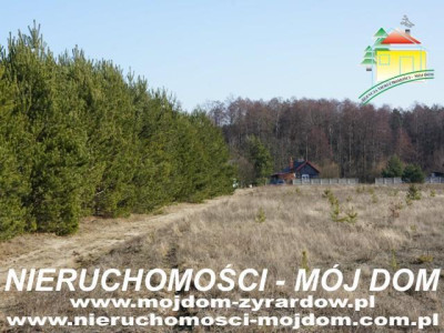 Działka budowlana - Krzyżówka   -
Mazowieckie Zdjęcie nr 5