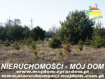 Działka budowlana - Krzyżówka   -
Mazowieckie Zdjęcie nr 6