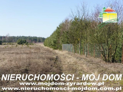 Działka budowlana - Krzyżówka   -
Mazowieckie Zdjęcie nr 7