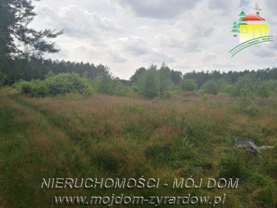 Działka budowlana - Tomaszew   -
Mazowieckie Zdjęcie nr 2