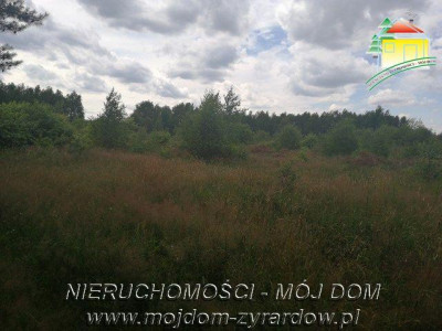 Działka budowlana - Tomaszew   -
Mazowieckie Zdjęcie nr 3