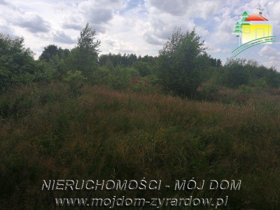 Działka budowlana - Tomaszew   -
Mazowieckie Zdjęcie nr 4
