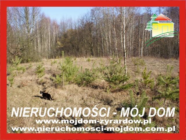 Działka budowlana - Krzyżówka   -
Mazowieckie Zdjęcie nr 1