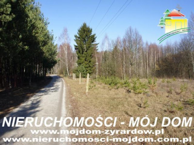 Działka budowlana - Krzyżówka   -
Mazowieckie Zdjęcie nr 2