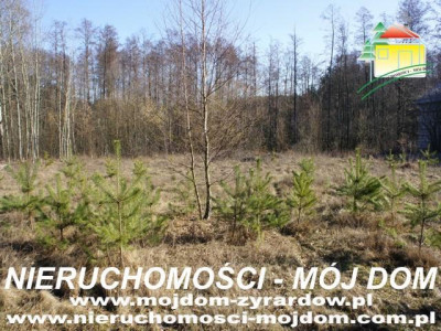 Działka budowlana - Krzyżówka   -
Mazowieckie Zdjęcie nr 3