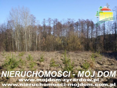 Działka budowlana - Krzyżówka   -
Mazowieckie Zdjęcie nr 4
