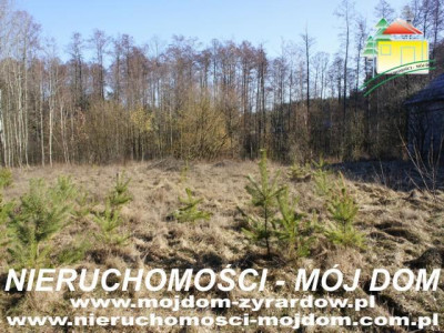 Działka budowlana - Krzyżówka   -
Mazowieckie Zdjęcie nr 5