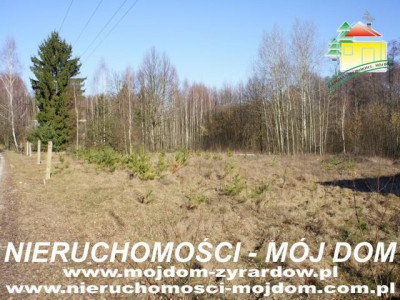 Działka budowlana - Krzyżówka   -
Mazowieckie Zdjęcie nr 6