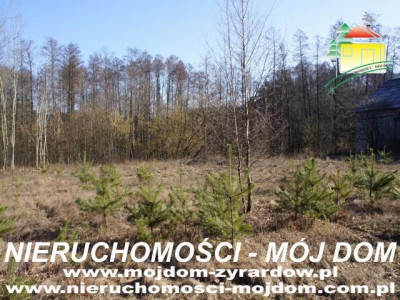 Działka budowlana - Krzyżówka   -
Mazowieckie Zdjęcie nr 7