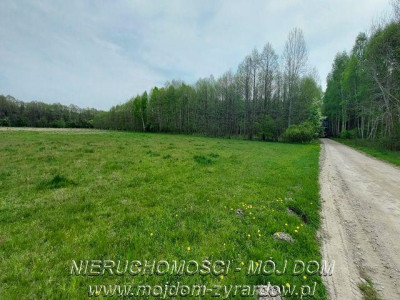 Działka budowlana z warunkami zabudowy - Tomaszew   -
Mazowieckie Zdjęcie nr 4