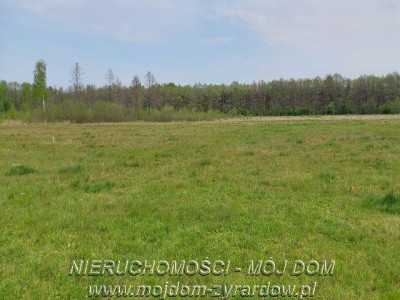 Działka budowlana z warunkami zabudowy - Tomaszew   -
Mazowieckie Zdjęcie nr 5