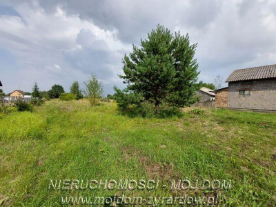 Duża działka budowlana w Wiskitkach - Wiskitki   -
Mazowieckie Zdjęcie nr 2