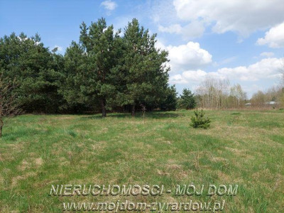 Działka budowlana - Słabomierz   -
Mazowieckie Zdjęcie nr 2