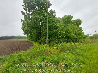 Ładna działka niedaleko Mszczonowa - Adamowice   -
Mazowieckie
