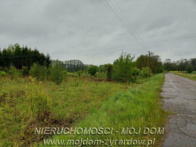 Ładna działka niedaleko Mszczonowa - Adamowice   -
Mazowieckie Zdjęcie nr 2