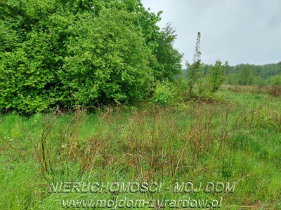 Ładna działka niedaleko Mszczonowa - Adamowice   -
Mazowieckie Zdjęcie nr 3