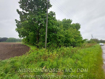 Ładna działka niedaleko Mszczonowa - Adamowice   -
Mazowieckie Zdjęcie nr 4