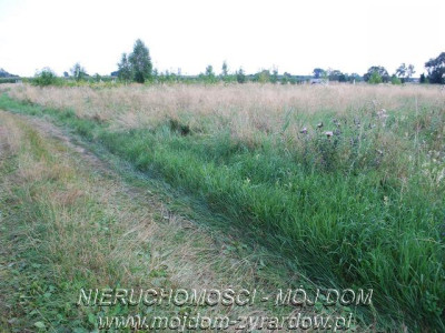 Działka budowlana w spokojnej okolicy - Wiskitki   -
Mazowieckie Zdjęcie nr 5