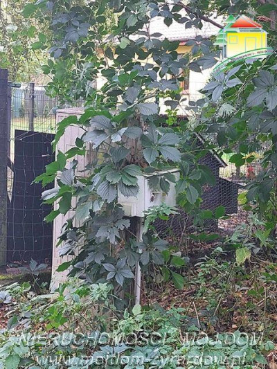 Polecamy działkę w Staruch Budach  - Stare Budy   -
Mazowieckie Zdjęcie nr 6