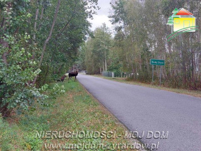 Polecamy działkę w Staruch Budach  - Stare Budy   -
Mazowieckie Zdjęcie nr 9