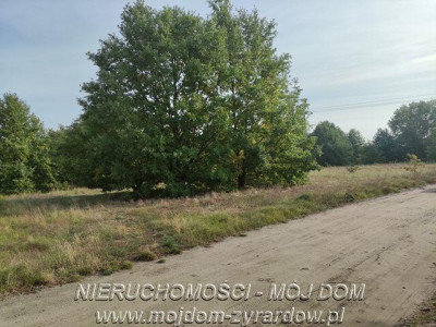 Działka usługowo mieszkaniowa na Osiedlu Wschód - Żyrardów   -
Mazowieckie Zdjęcie nr 4