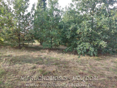 Działka usługowo mieszkaniowa na Osiedlu Wschód - Żyrardów   -
Mazowieckie Zdjęcie nr 6