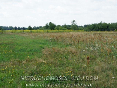 Działka inwestycyjna w okolicy Suntago - Wręcza   -
Mazowieckie Zdjęcie nr 2