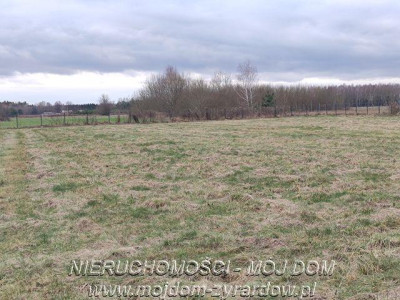 Działka inwestycyjna w okolicy Suntago - Wręcza   -
Mazowieckie Zdjęcie nr 5