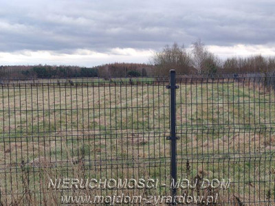 Działka inwestycyjna w okolicy Suntago - Wręcza   -
Mazowieckie Zdjęcie nr 7