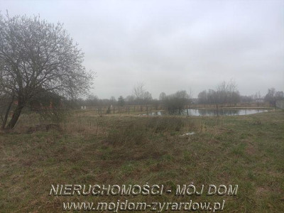 Duża działka budowlana ze stawem - Mrozy   -
Mazowieckie Zdjęcie nr 6