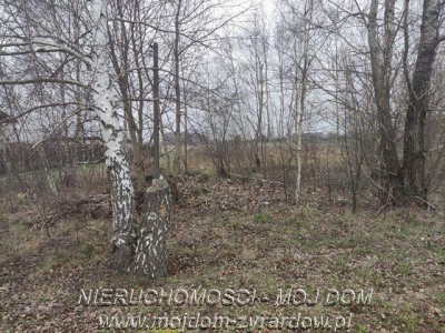 Ładna działka w okolicy domów jednorodzinnych - Baranów   -
Mazowieckie Zdjęcie nr 3