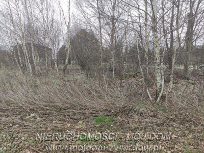 Ładna działka w okolicy domów jednorodzinnych - Baranów   -
Mazowieckie Zdjęcie nr 4