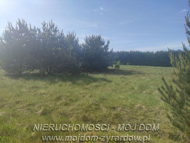 Duża działka w okolicy Żyrardowa - Nowe Kozłowice   -
Mazowieckie Zdjęcie nr 1