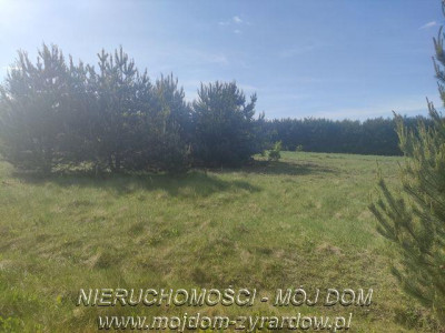 Duża działka w okolicy Żyrardowa - Nowe Kozłowice   -
Mazowieckie