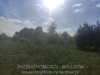 Duża działka w okolicy Żyrardowa - Nowe Kozłowice   -
Mazowieckie Zdjęcie nr 4