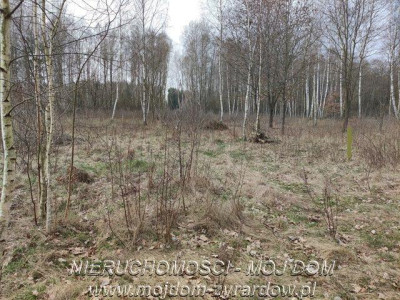 Działka pod budowę domu blisko Suntago Sprzedaż lub zamiana - Wręcza   -
Mazowieckie Zdjęcie nr 8