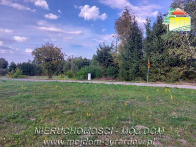 Polecamy  - Tomaszew   -
Mazowieckie Zdjęcie nr 8