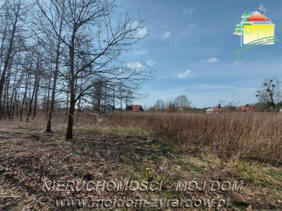 Duża działka - idealna oferta dla inwestorów - Żyrardów   -
Mazowieckie Zdjęcie nr 3