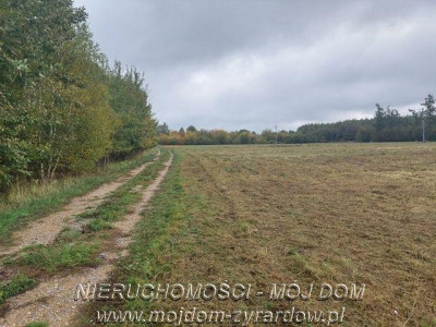 Duża działka budowlana idealna pod inwestycję - Mszczonów   -
Mazowieckie Zdjęcie nr 5