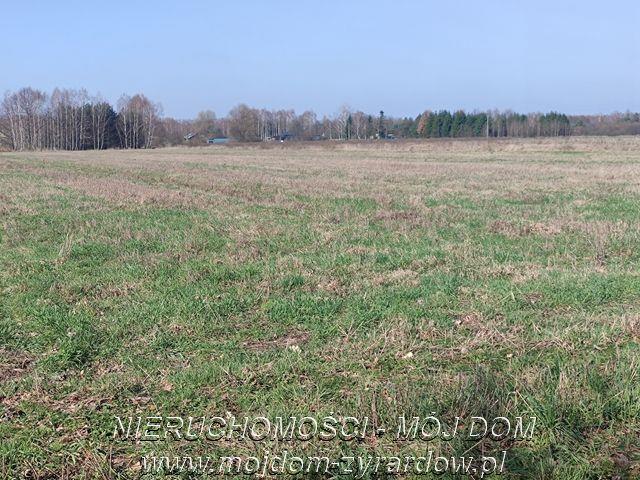 Działka w atrakcyjnej cenie Studzieniec - Studzieniec   -
Mazowieckie Zdjęcie nr 1