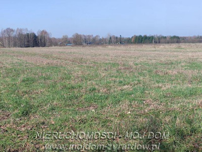 Działka w atrakcyjnej cenie Studzieniec - Studzieniec   -
Mazowieckie