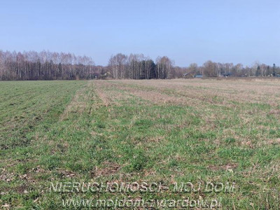 Działka w atrakcyjnej cenie Studzieniec - Studzieniec   -
Mazowieckie Zdjęcie nr 2