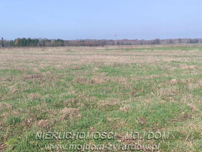 Działka w atrakcyjnej cenie Studzieniec - Studzieniec   -
Mazowieckie Zdjęcie nr 3