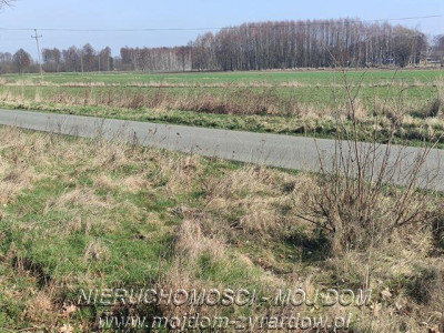 Działka w atrakcyjnej cenie Studzieniec - Studzieniec   -
Mazowieckie Zdjęcie nr 4