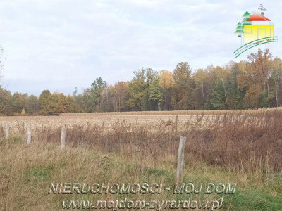 Polecamy dużą działkę budowlano - usługową - Benenard   -
Mazowieckie