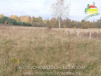 Polecamy dużą działkę budowlano - usługową - Benenard   -
Mazowieckie Zdjęcie nr 2