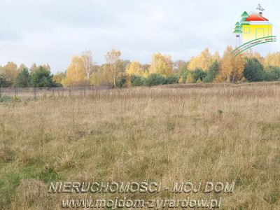 Polecamy dużą działkę budowlano - usługową - Benenard   -
Mazowieckie Zdjęcie nr 3